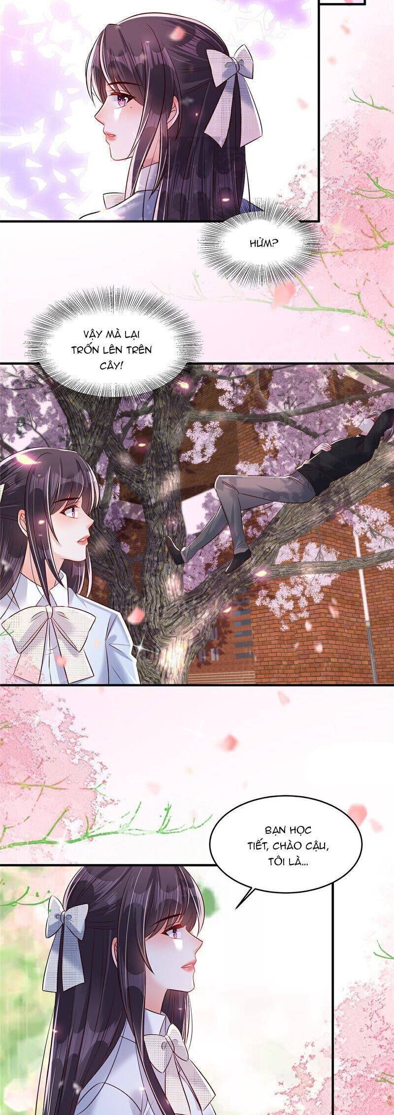 đọc truyện Trọng Sinh Trở Lại: Sủng Nịch Độc Nhất Vô Nhị Chương 344 ảnh 8 tại Thiên Thai Truyện