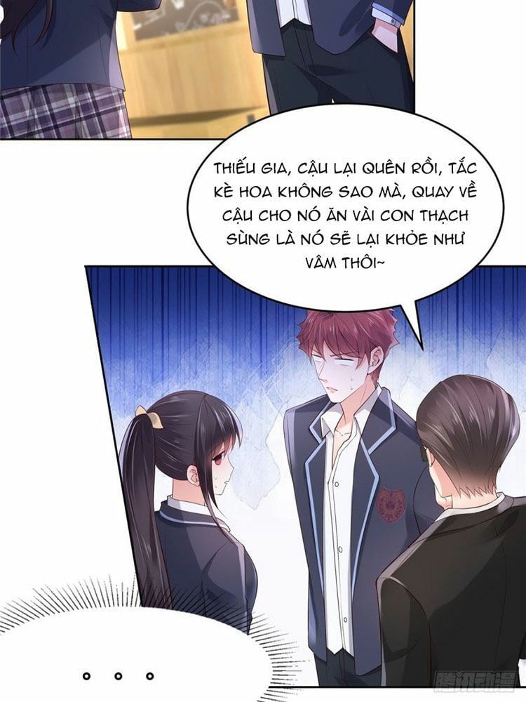 đọc truyện Trọng Sinh Trở Lại: Sủng Nịch Độc Nhất Vô Nhị Chương 52 ảnh 17 tại Thiên Thai Truyện