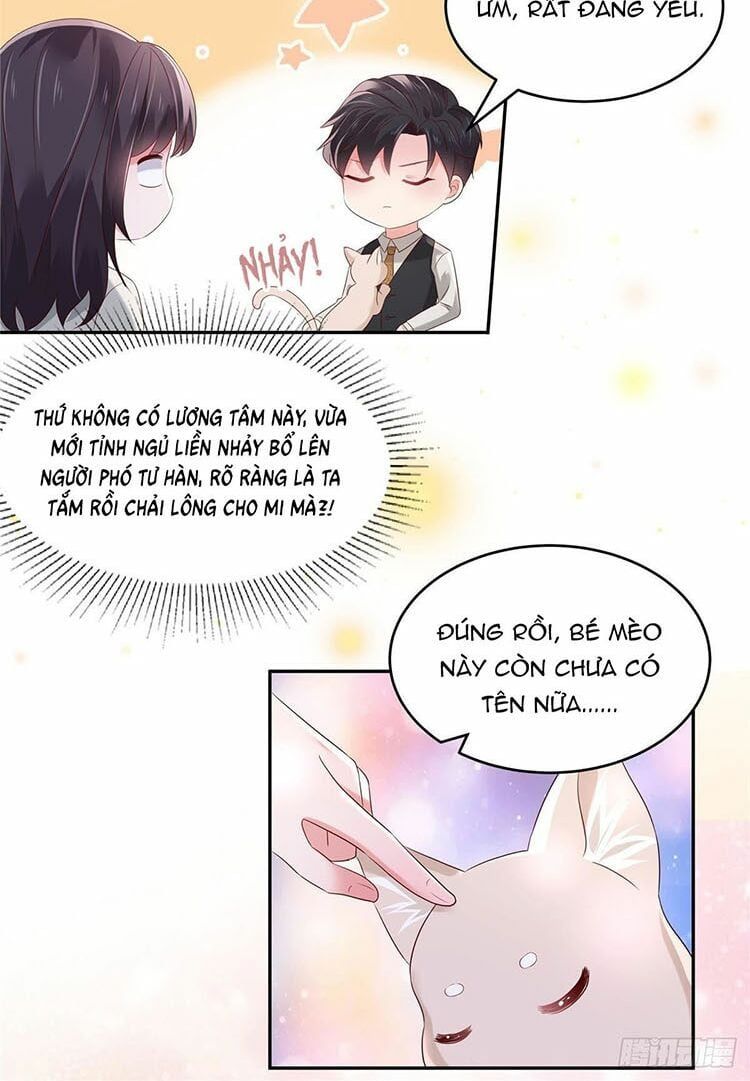 đọc truyện Trọng Sinh Trở Lại: Sủng Nịch Độc Nhất Vô Nhị Chương 58 ảnh 17 tại Thiên Thai Truyện