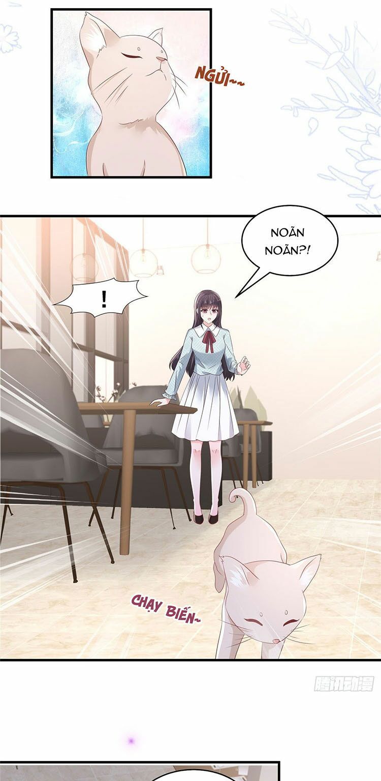 đọc truyện Trọng Sinh Trở Lại: Sủng Nịch Độc Nhất Vô Nhị Chương 68 ảnh 8 tại Thiên Thai Truyện