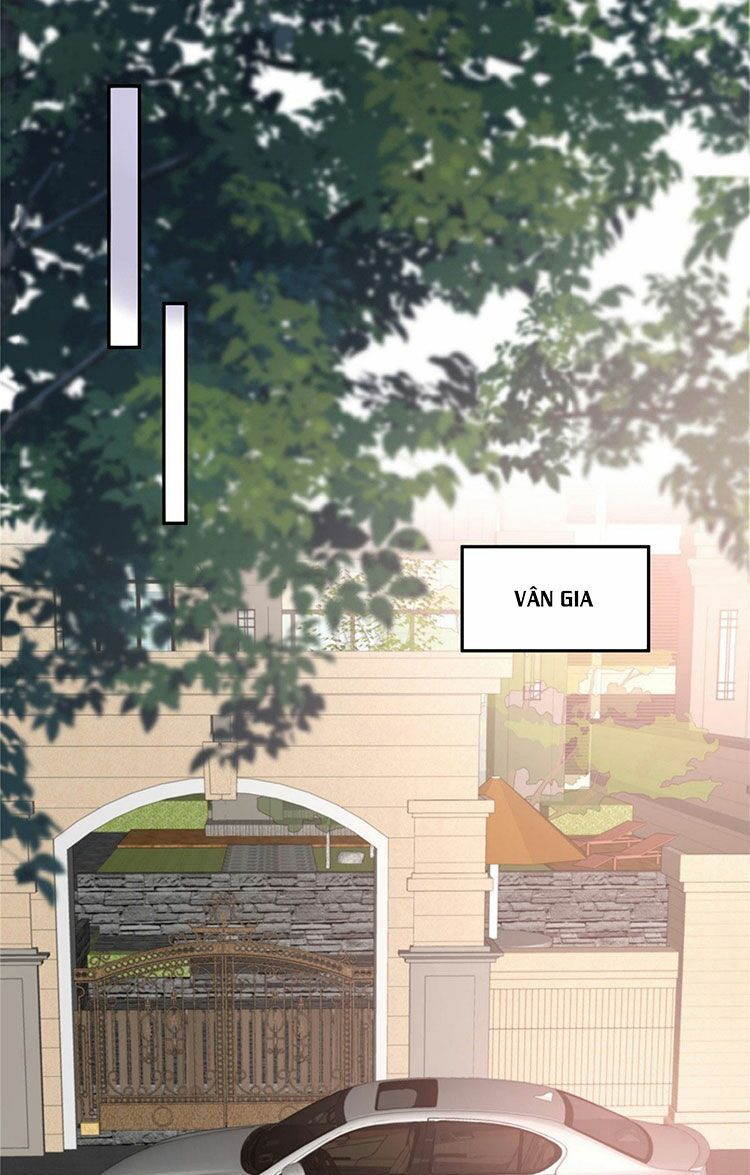 đọc truyện Trọng Sinh Trở Lại: Sủng Nịch Độc Nhất Vô Nhị Chương 75 ảnh 19 tại Thiên Thai Truyện