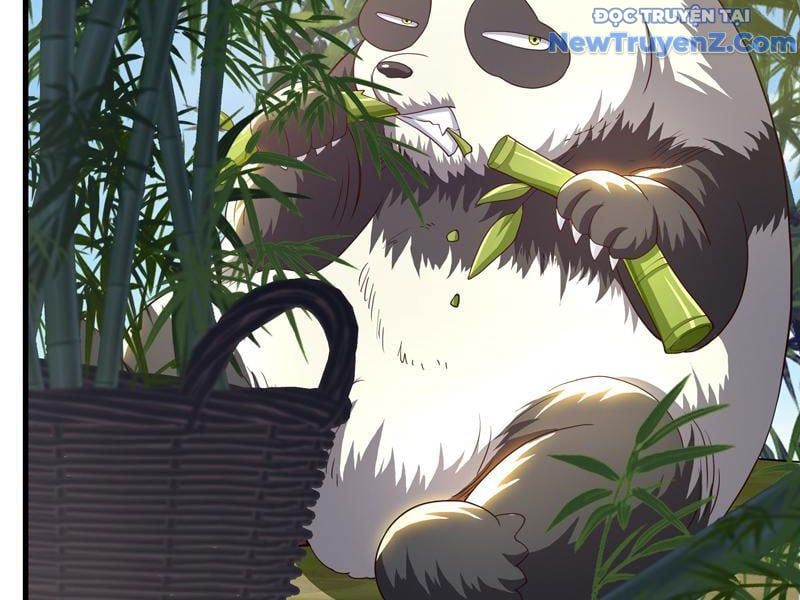 đọc truyện Trụ Vương Tái Sinh Không Muốn Làm Đại Phản Diện Chương 105 ảnh 88 tại Thiên Thai Truyện