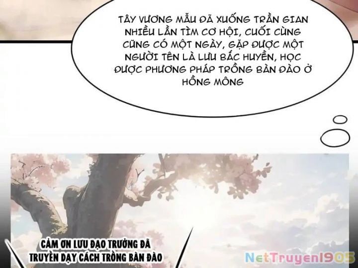 đọc truyện Trụ Vương Tái Sinh Không Muốn Làm Đại Phản Diện Chương 131 ảnh 45 tại Thiên Thai Truyện