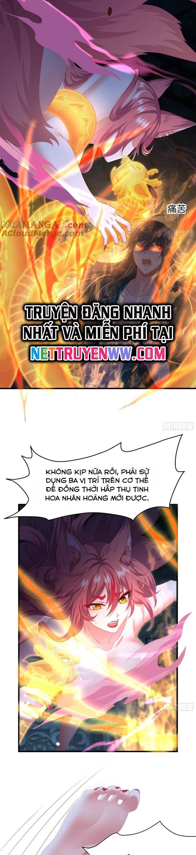 đọc truyện Trụ Vương Tái Sinh Không Muốn Làm Đại Phản Diện Chương 56 ảnh 20 tại Thiên Thai Truyện