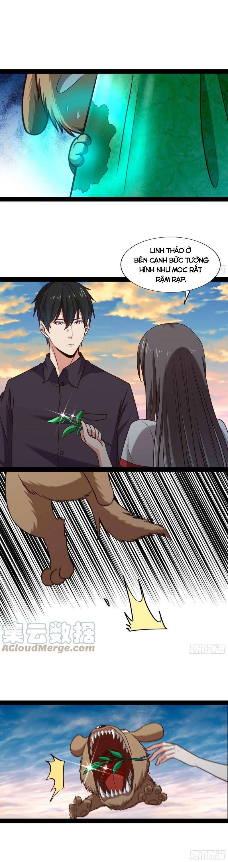 đọc truyện Trùng Sinh Đô Thị Thiên Tôn Chương 296 ảnh 8 tại Thiên Thai Truyện