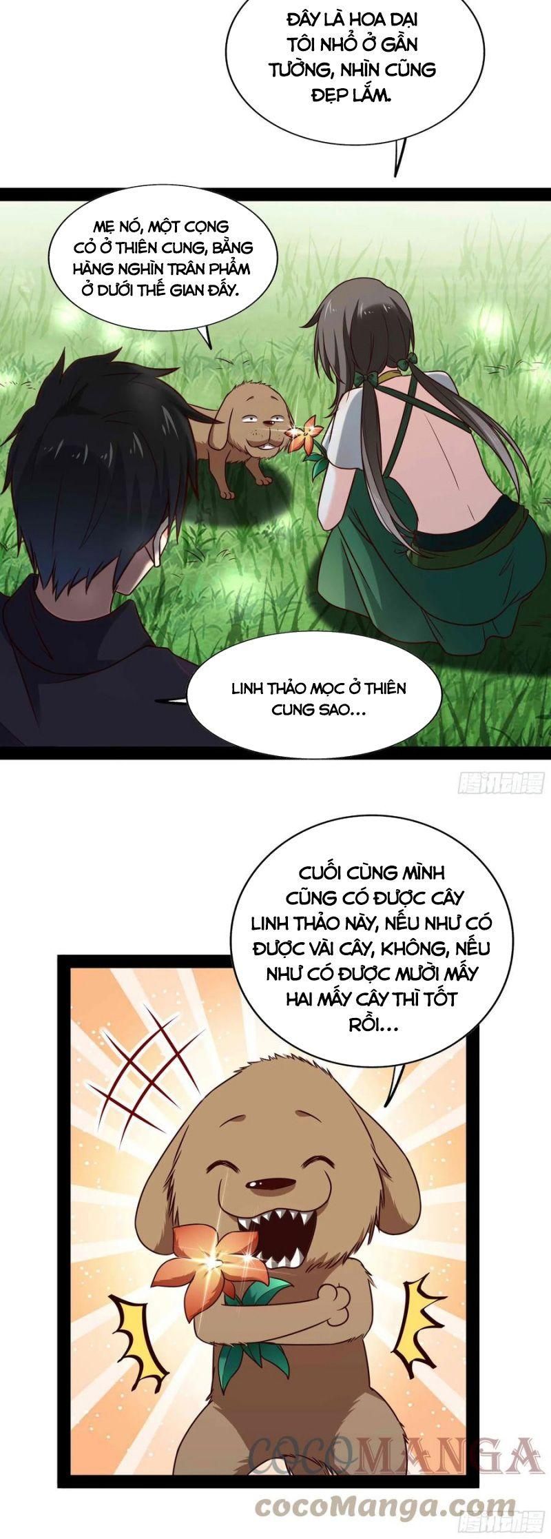 đọc truyện Trùng Sinh Đô Thị Thiên Tôn Chương 297 ảnh 12 tại Thiên Thai Truyện