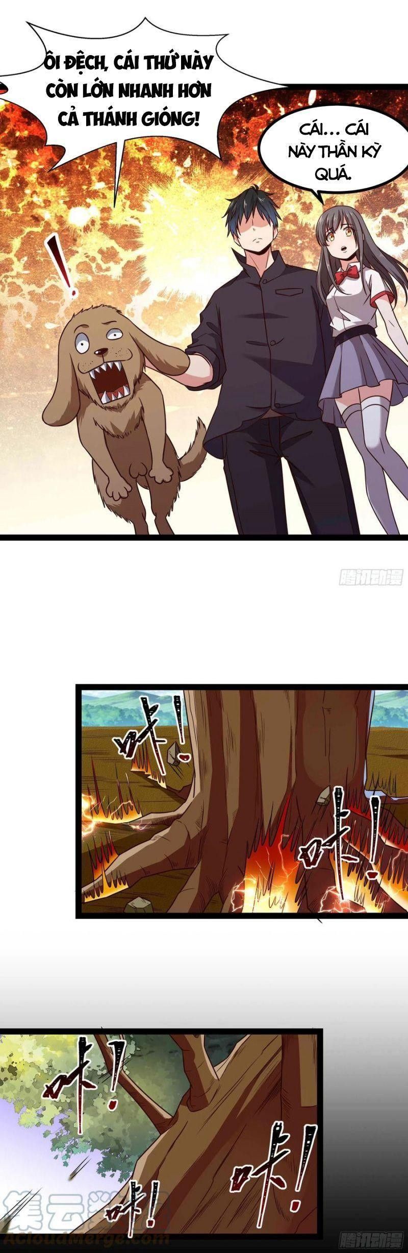 đọc truyện Trùng Sinh Đô Thị Thiên Tôn Chương 299 ảnh 4 tại Thiên Thai Truyện