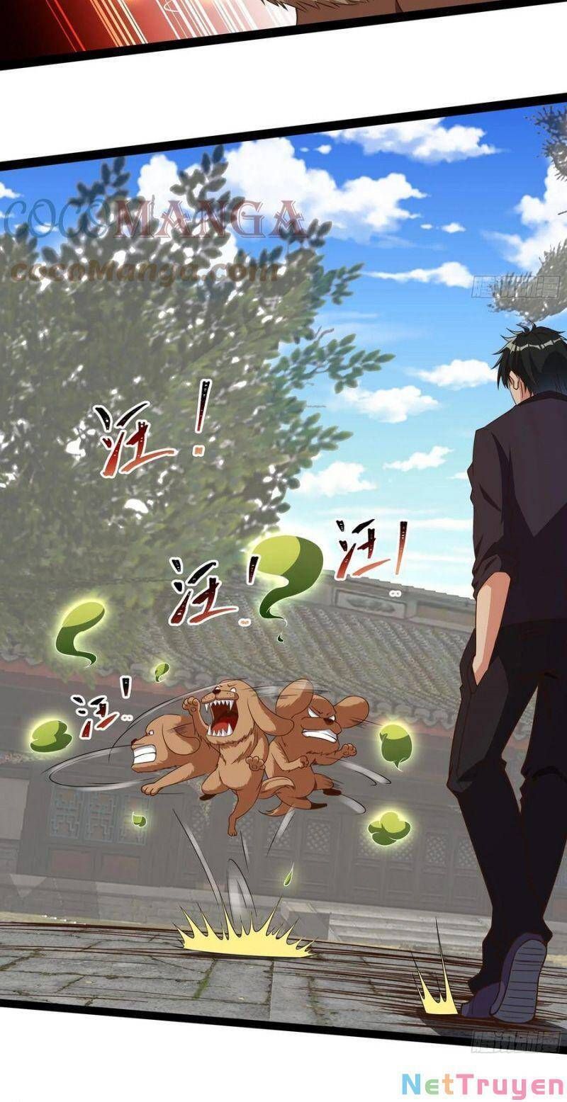 đọc truyện Trùng Sinh Đô Thị Thiên Tôn Chương 311 ảnh 24 tại Thiên Thai Truyện