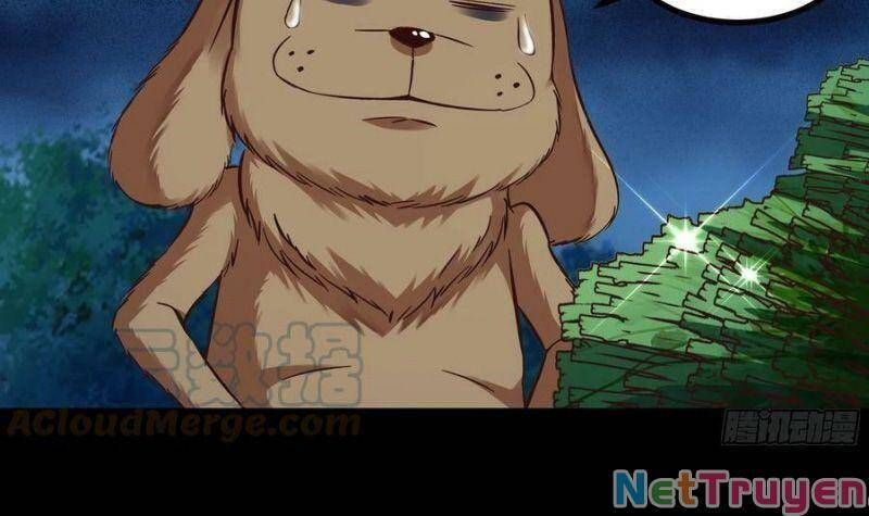 đọc truyện Trùng Sinh Đô Thị Thiên Tôn Chương 313 ảnh 19 tại Thiên Thai Truyện