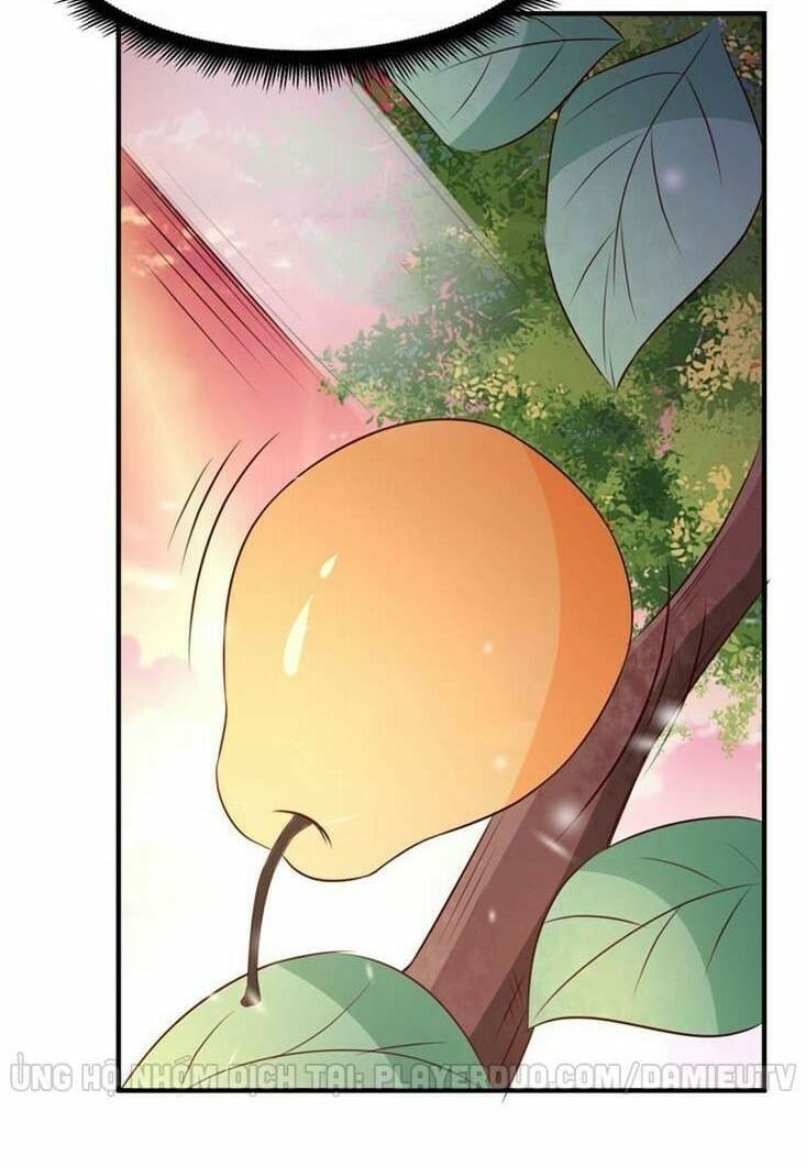 đọc truyện Trùng Sinh Đô Thị Thiên Tôn Chương 81 ảnh 12 tại Thiên Thai Truyện