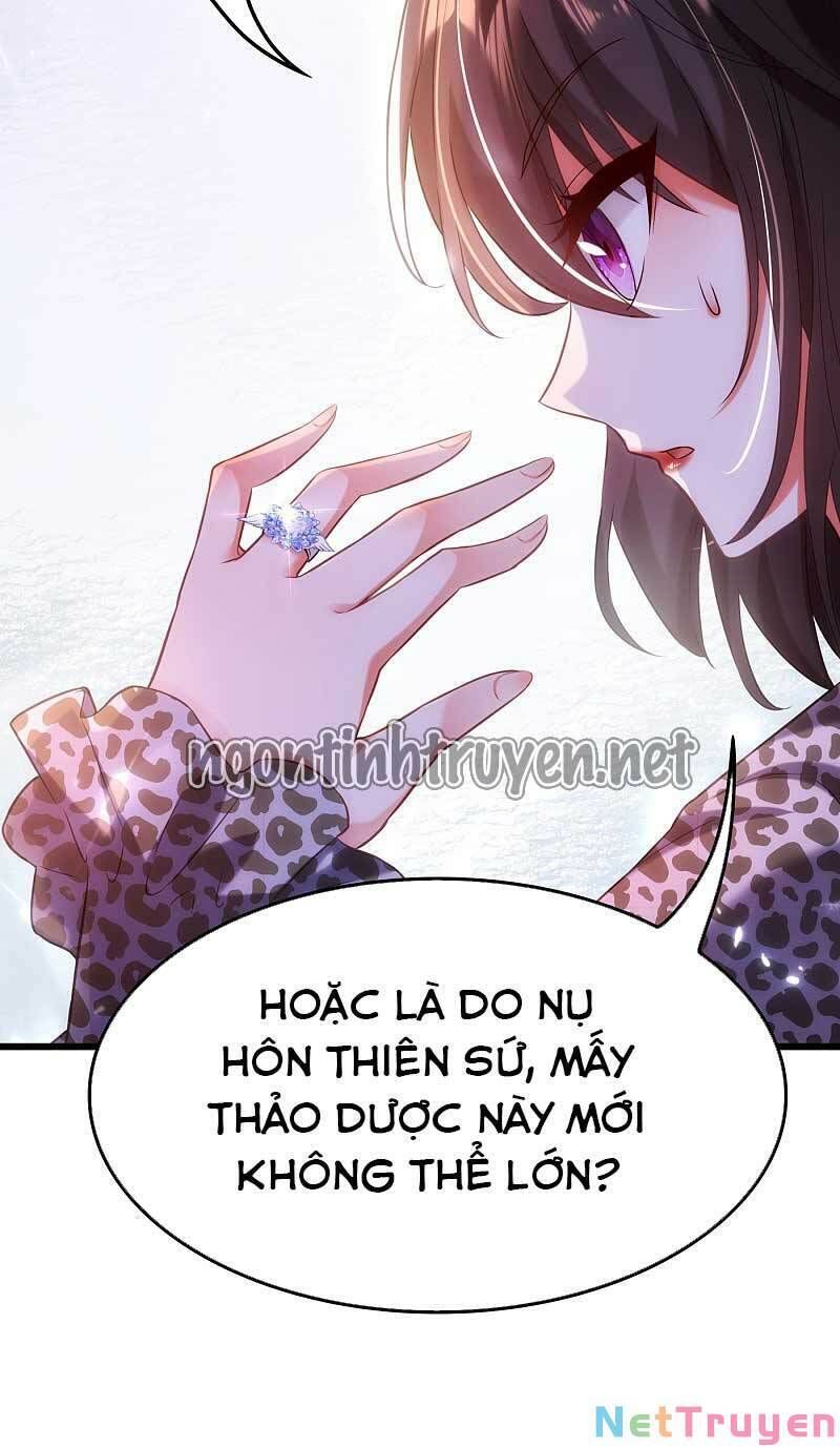 đọc truyện Trùng Sinh Không Gian: Cô Vợ Hào Môn Nóng Bỏng Không Dễ Chọc Chương 108 ảnh 28 tại Thiên Thai Truyện