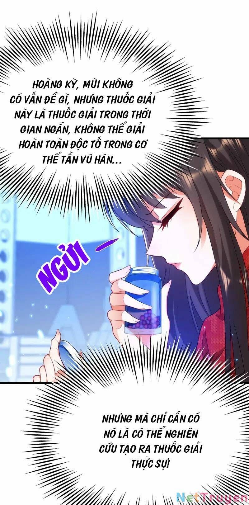 đọc truyện Trùng Sinh Không Gian: Cô Vợ Hào Môn Nóng Bỏng Không Dễ Chọc Chương 163 ảnh 22 tại Thiên Thai Truyện