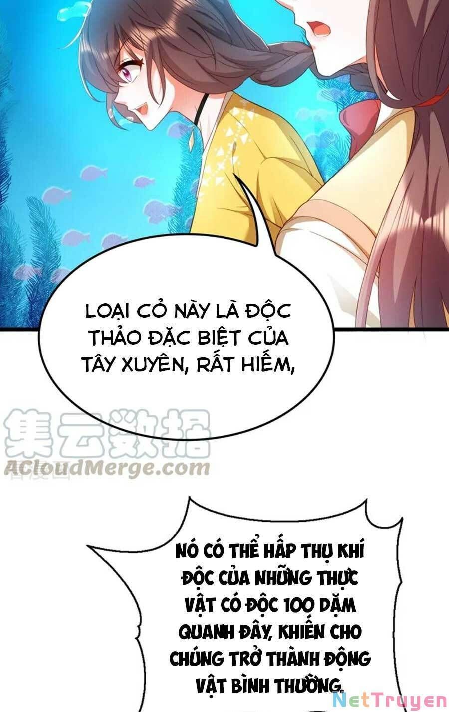 đọc truyện Trùng Sinh Không Gian: Cô Vợ Hào Môn Nóng Bỏng Không Dễ Chọc Chương 169 ảnh 27 tại Thiên Thai Truyện