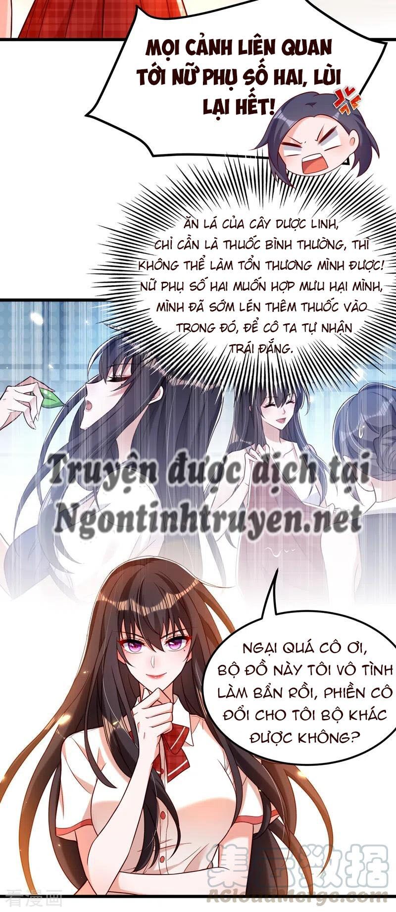đọc truyện Trùng Sinh Không Gian: Cô Vợ Hào Môn Nóng Bỏng Không Dễ Chọc Chương 242 ảnh 19 tại Thiên Thai Truyện