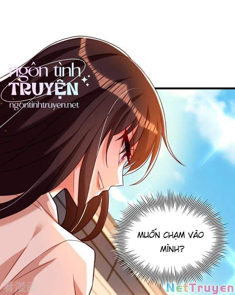 đọc truyện Trùng Sinh Không Gian: Cô Vợ Hào Môn Nóng Bỏng Không Dễ Chọc Chương 243 ảnh 7 tại Thiên Thai Truyện