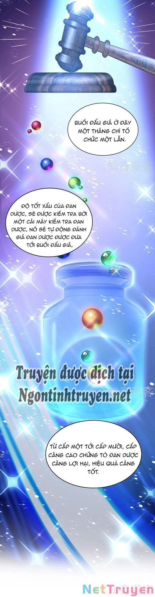 đọc truyện Trùng Sinh Không Gian: Cô Vợ Hào Môn Nóng Bỏng Không Dễ Chọc Chương 268 ảnh 11 tại Thiên Thai Truyện