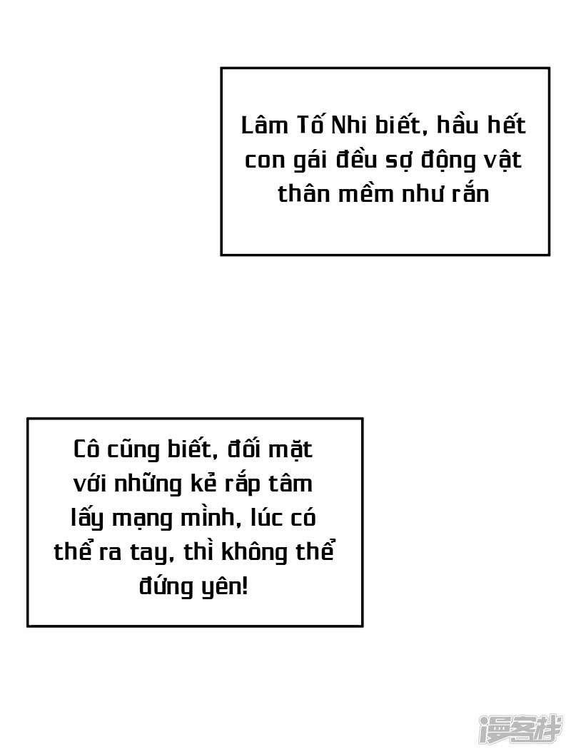 đọc truyện Trùng Sinh Không Gian: Cô Vợ Hào Môn Nóng Bỏng Không Dễ Chọc Chương 28 ảnh 22 tại Thiên Thai Truyện