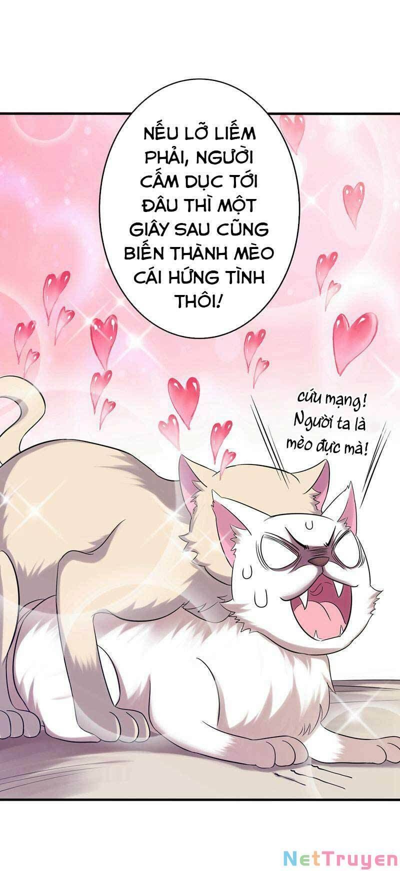 đọc truyện Trùng Sinh Không Gian: Cô Vợ Hào Môn Nóng Bỏng Không Dễ Chọc Chương 43 ảnh 9 tại Thiên Thai Truyện