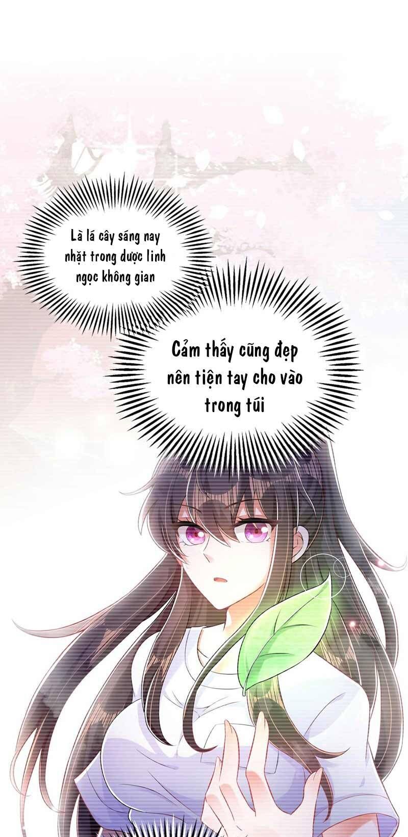 đọc truyện Trùng Sinh Không Gian: Cô Vợ Hào Môn Nóng Bỏng Không Dễ Chọc Chương 57 ảnh 17 tại Thiên Thai Truyện
