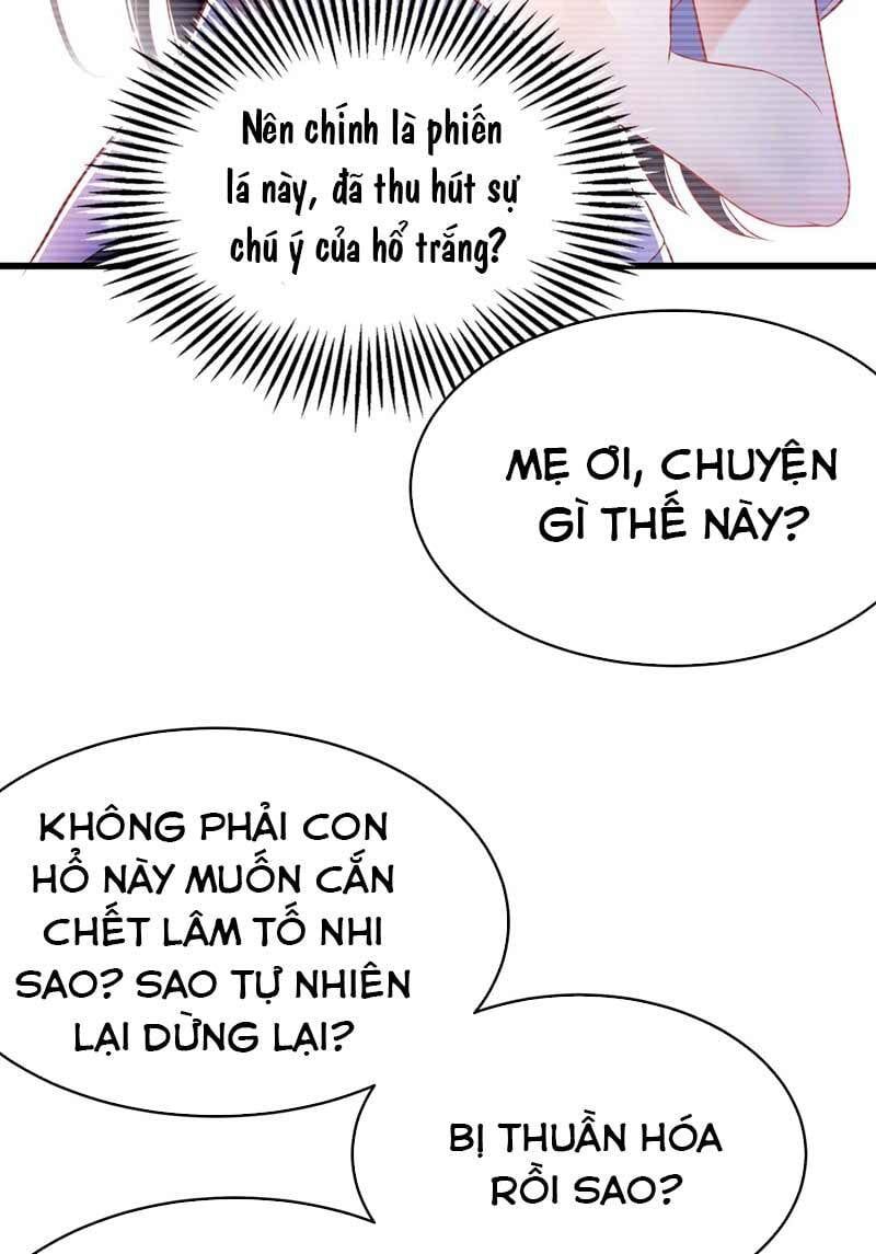đọc truyện Trùng Sinh Không Gian: Cô Vợ Hào Môn Nóng Bỏng Không Dễ Chọc Chương 57 ảnh 18 tại Thiên Thai Truyện