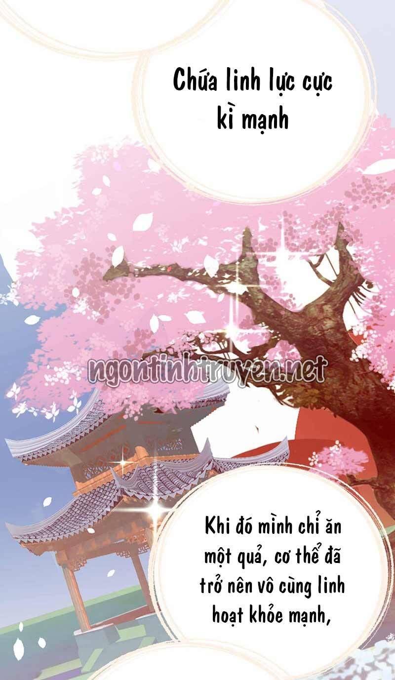 đọc truyện Trùng Sinh Không Gian: Cô Vợ Hào Môn Nóng Bỏng Không Dễ Chọc Chương 57 ảnh 27 tại Thiên Thai Truyện