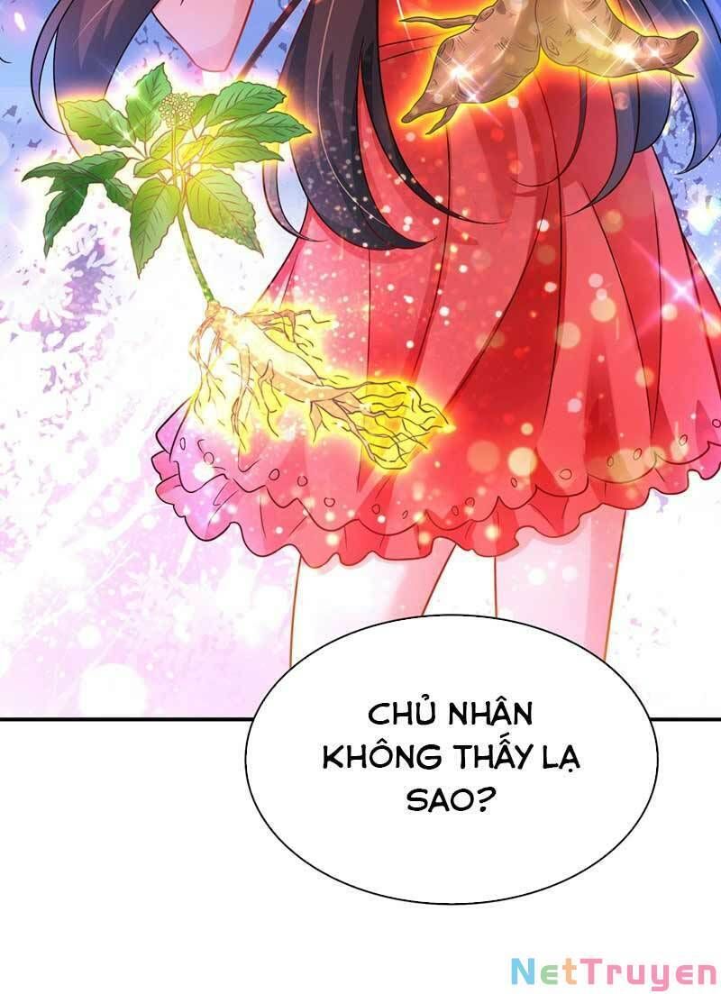 đọc truyện Trùng Sinh Không Gian: Cô Vợ Hào Môn Nóng Bỏng Không Dễ Chọc Chương 76 ảnh 44 tại Thiên Thai Truyện