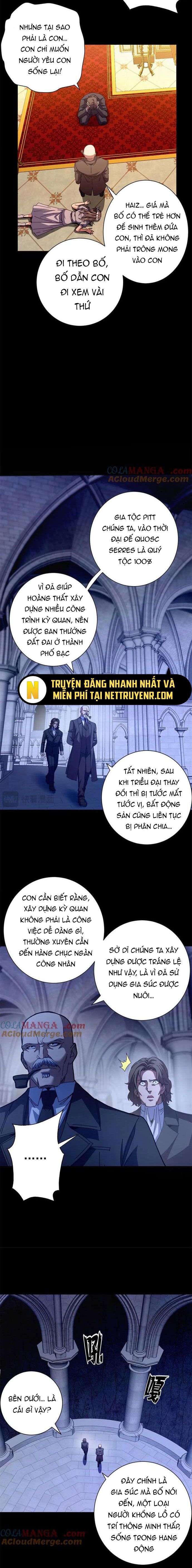 đọc truyện Trưởng Giám Ngục Trông Coi Các Ma Nữ Chương 116 ảnh 12 tại Thiên Thai Truyện