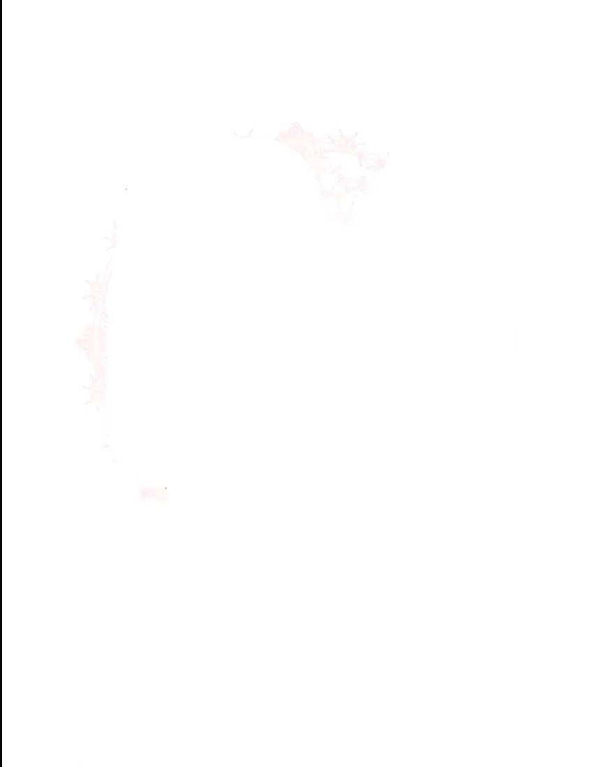 Từ Ác Nữ Tôi Trở Thành Một Người Mẹ Chương 13 page 22 - Giả Dược