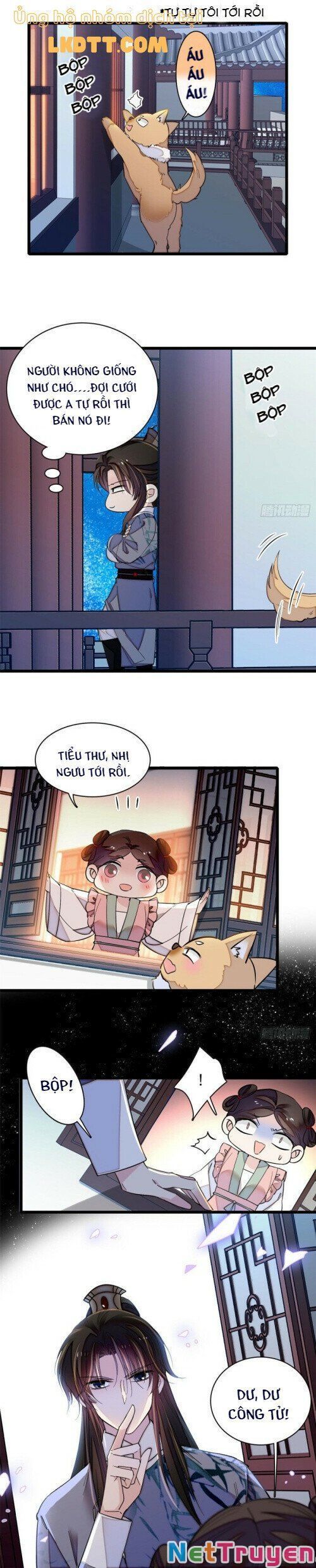 đọc truyện Tự Cẩm Chương 113 ảnh 7 tại Giả Dược