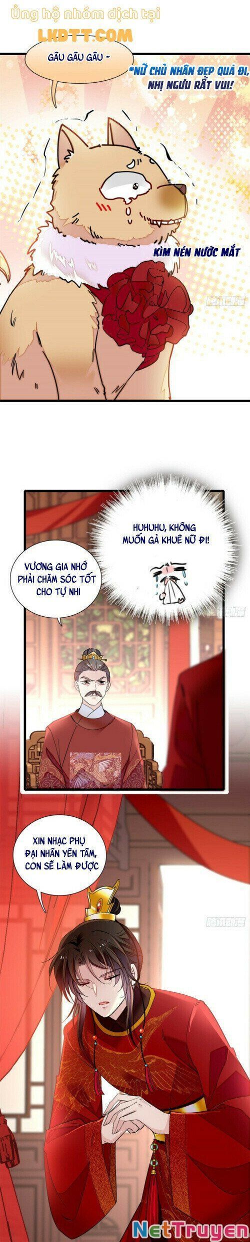 đọc truyện Tự Cẩm Chương 134 ảnh 10 tại Giả Dược