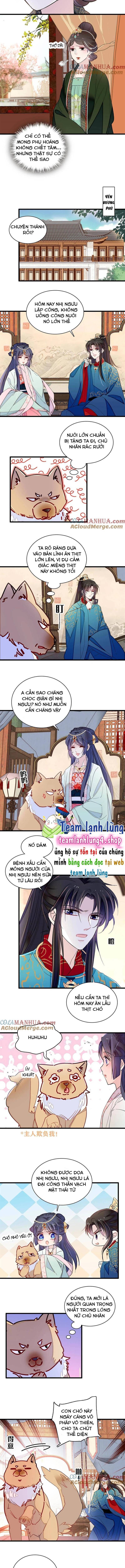 đọc truyện Tự Cẩm Chương 248 ảnh 5 tại Giả Dược