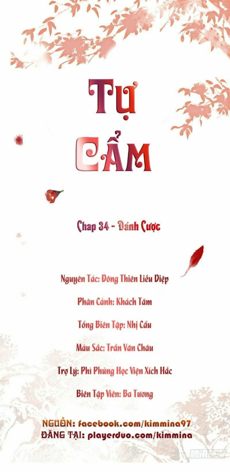 đọc truyện Tự Cẩm Chương 34 ảnh 3 tại Giả Dược