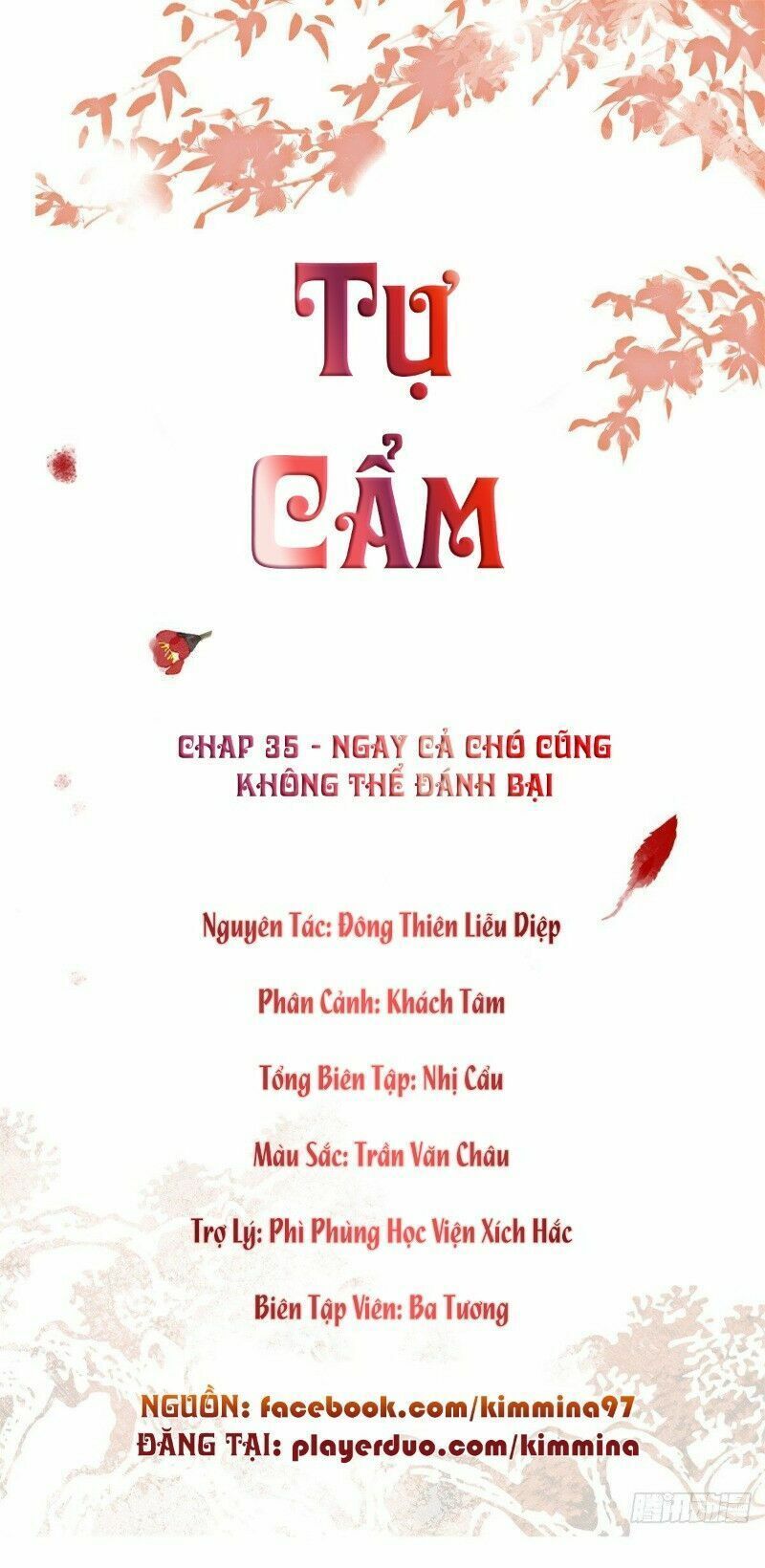 đọc truyện Tự Cẩm Chương 35 ảnh 3 tại Giả Dược
