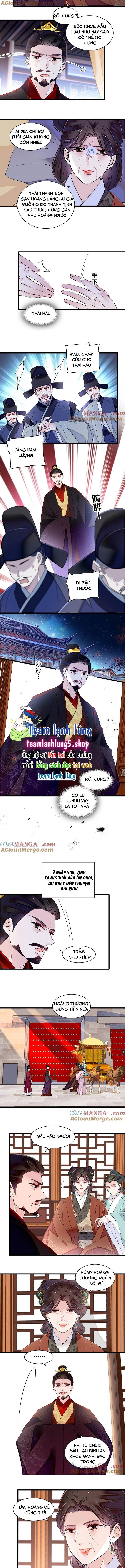 đọc truyện Tự Cẩm Chương 374 ảnh 5 tại Giả Dược