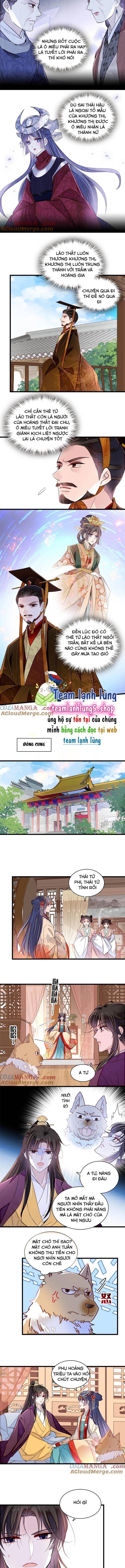 đọc truyện Tự Cẩm Chương 385 ảnh 5 tại Giả Dược