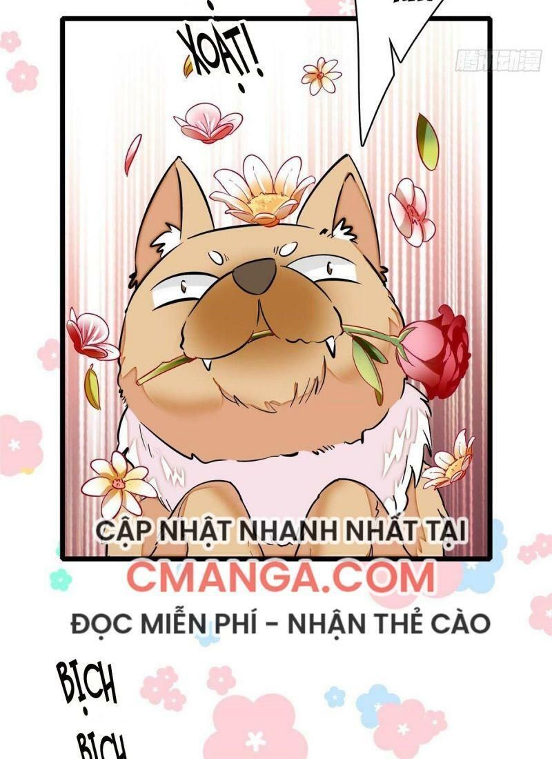 đọc truyện Tự Cẩm Chương 74 ảnh 13 tại Giả Dược