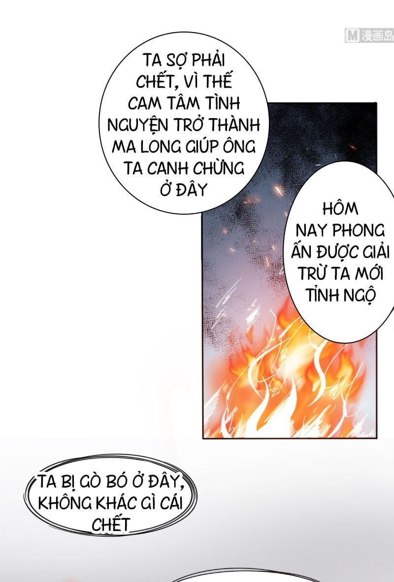 đọc truyện Tu Chân Giả Tại Dị Thế Chương 242 ảnh 12 tại Thiên Thai Truyện