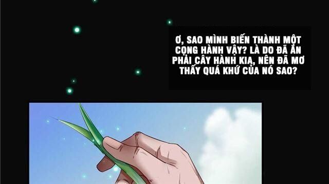 đọc truyện Tu Chân Nói Chuyện Phiếm Quần Chương 158.1 ảnh 14 tại Thiên Thai Truyện