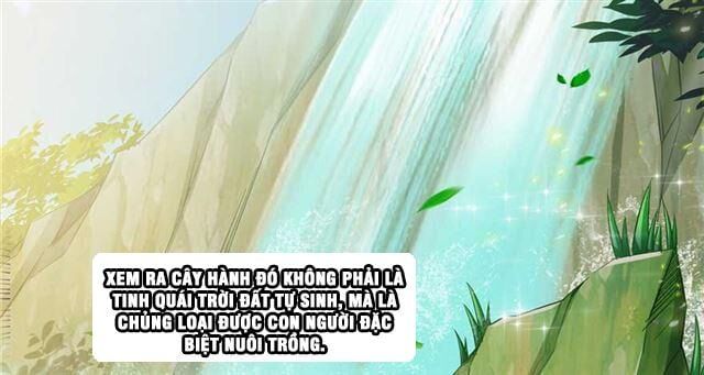 đọc truyện Tu Chân Nói Chuyện Phiếm Quần Chương 158.1 ảnh 17 tại Thiên Thai Truyện