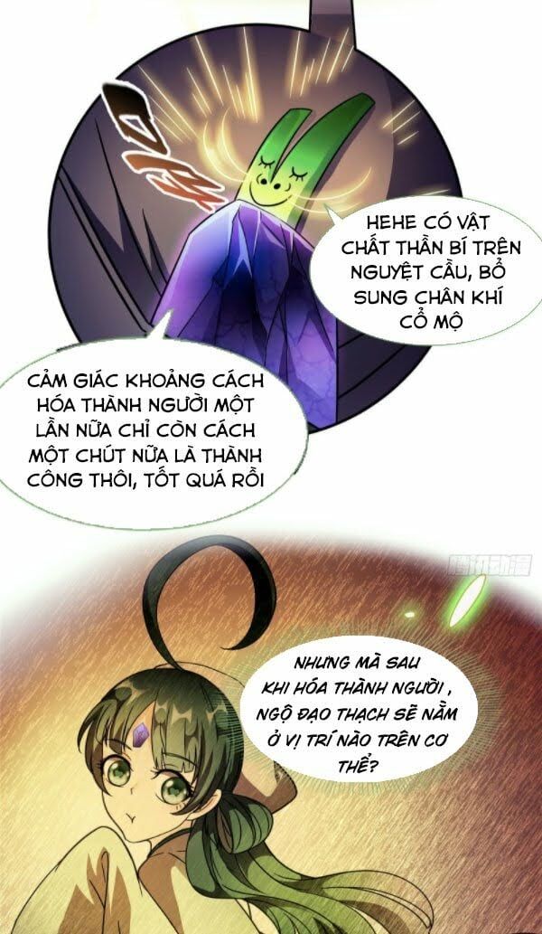 đọc truyện Tu Chân Nói Chuyện Phiếm Quần Chương 304 ảnh 8 tại Thiên Thai Truyện