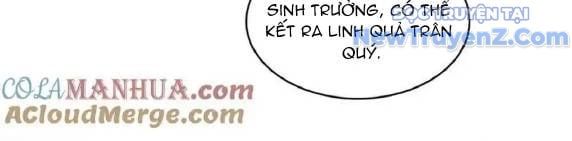 đọc truyện Tu Chân Nói Chuyện Phiếm Quần Chương 587 ảnh 25 tại Thiên Thai Truyện
