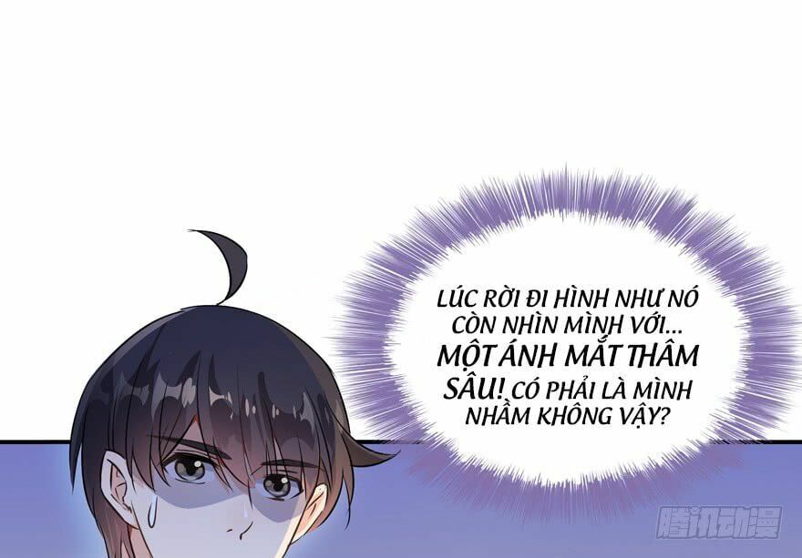 đọc truyện Tu Chân Nói Chuyện Phiếm Quần Chương 64 ảnh 16 tại Thiên Thai Truyện