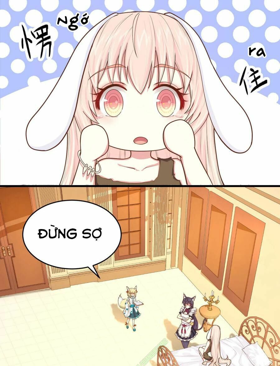 đọc truyện Từ Hôm Nay Bắt Đầu Làm Thành Chủ Chương 59 ảnh 23 tại Thiên Thai Truyện