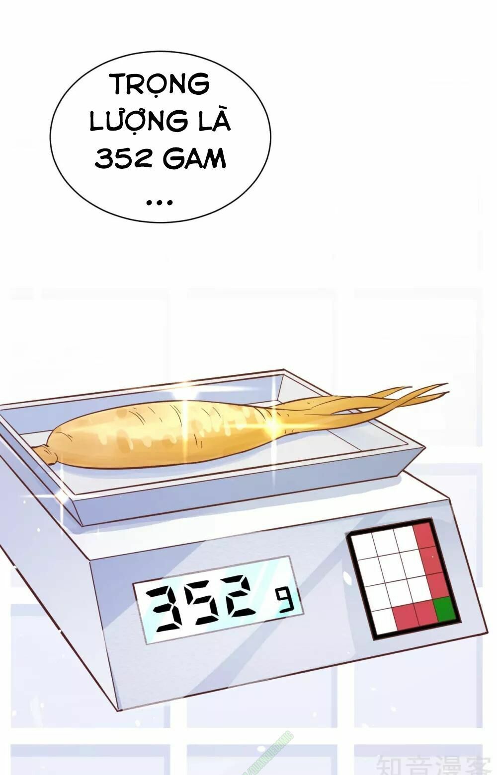 đọc truyện Từ Hôm Nay Bắt Đầu Làm Thành Chủ Chương 94 ảnh 25 tại Thiên Thai Truyện