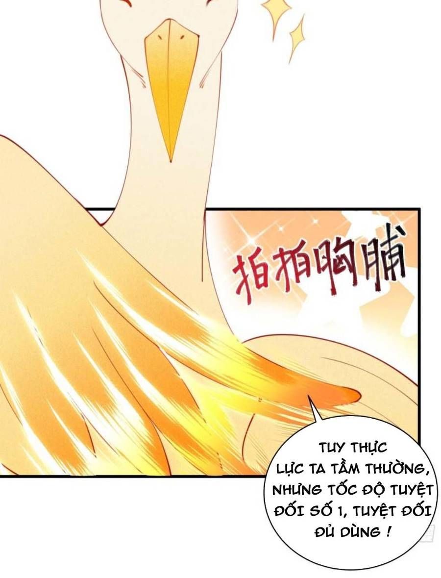 đọc truyện Tu Tiên Phải Dựa Vào Sugar Mommy Chương 174 ảnh 8 tại Thiên Thai Truyện