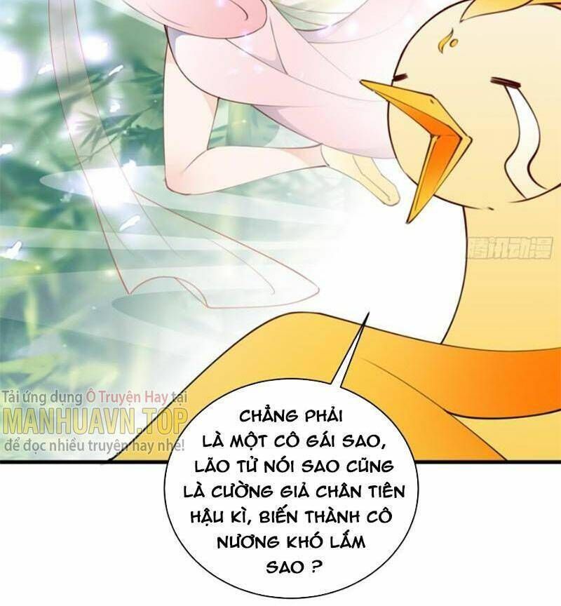 đọc truyện Tu Tiên Phải Dựa Vào Sugar Mommy Chương 183 ảnh 15 tại Truyện Dạ Ký