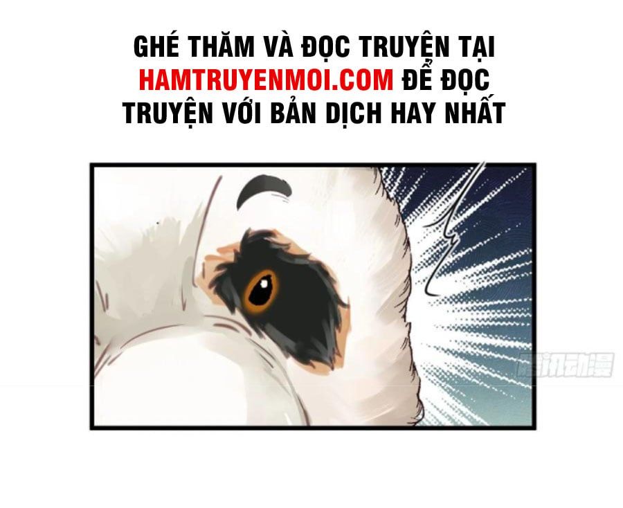 đọc truyện Tu Tiên Phải Dựa Vào Sugar Mommy Chương 63 ảnh 5 tại Thiên Thai Truyện