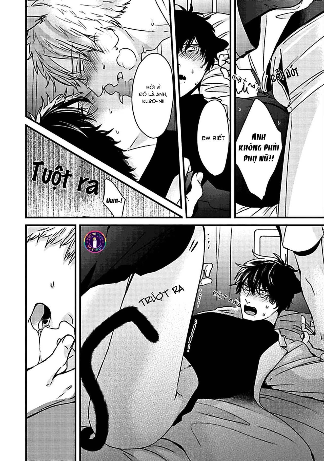 đọc truyện Tuyển Tập Doujinshi Nhà Vã Chương 1 ảnh 24 tại Giả Dược