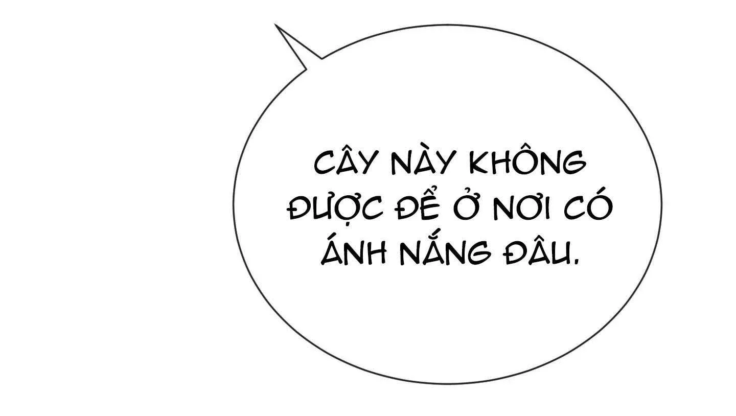 đọc truyện Tuyển Tập Manhwa Dằm Khăm Chương 75 ảnh 29 tại Thiên Thai Truyện