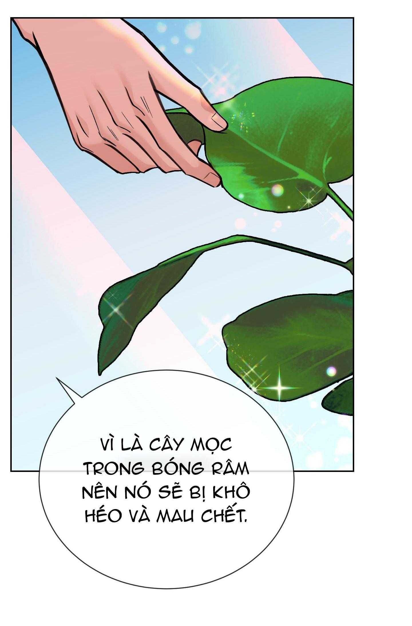 đọc truyện Tuyển Tập Manhwa Dằm Khăm Chương 75 ảnh 30 tại Thiên Thai Truyện